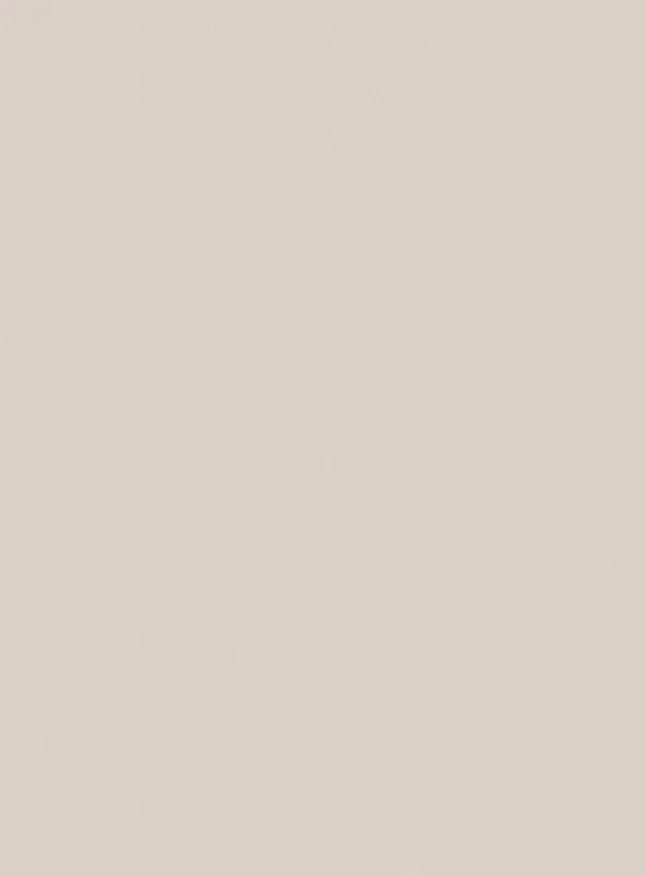 Burger Arbeitsplattendekor Sandbeige supermatt - 993