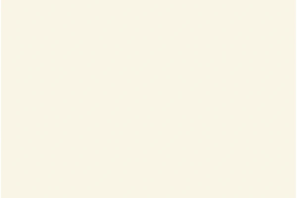 Burger Korpusfarbe Silk seidenmatt – 146