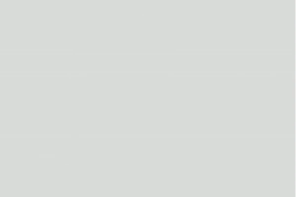 Burger Sichtseitenfarbe Moonlight grey glänzend – 728