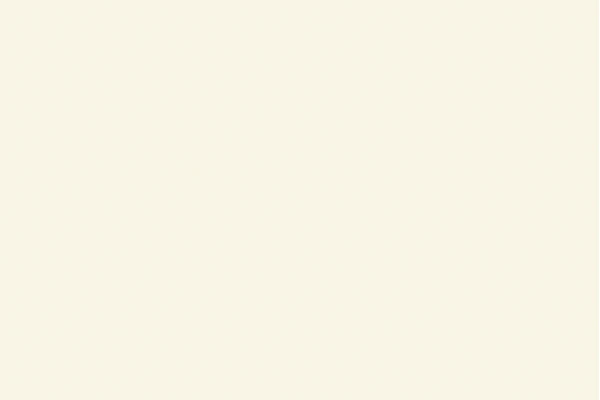 Burger Sichtseitenfarbe Silk glänzend – 729