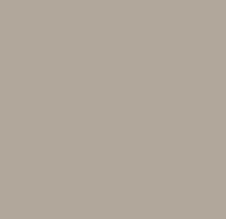 beige arizona fenix