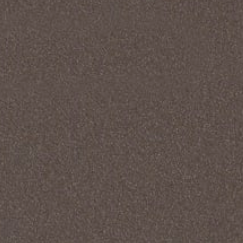 bronzo doha fenix