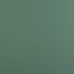 verde brac fenix